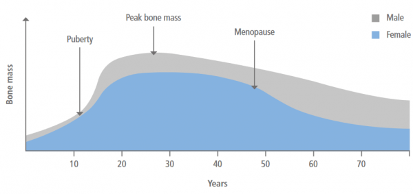 Grafico massa ossea prevenzione osteoporosi