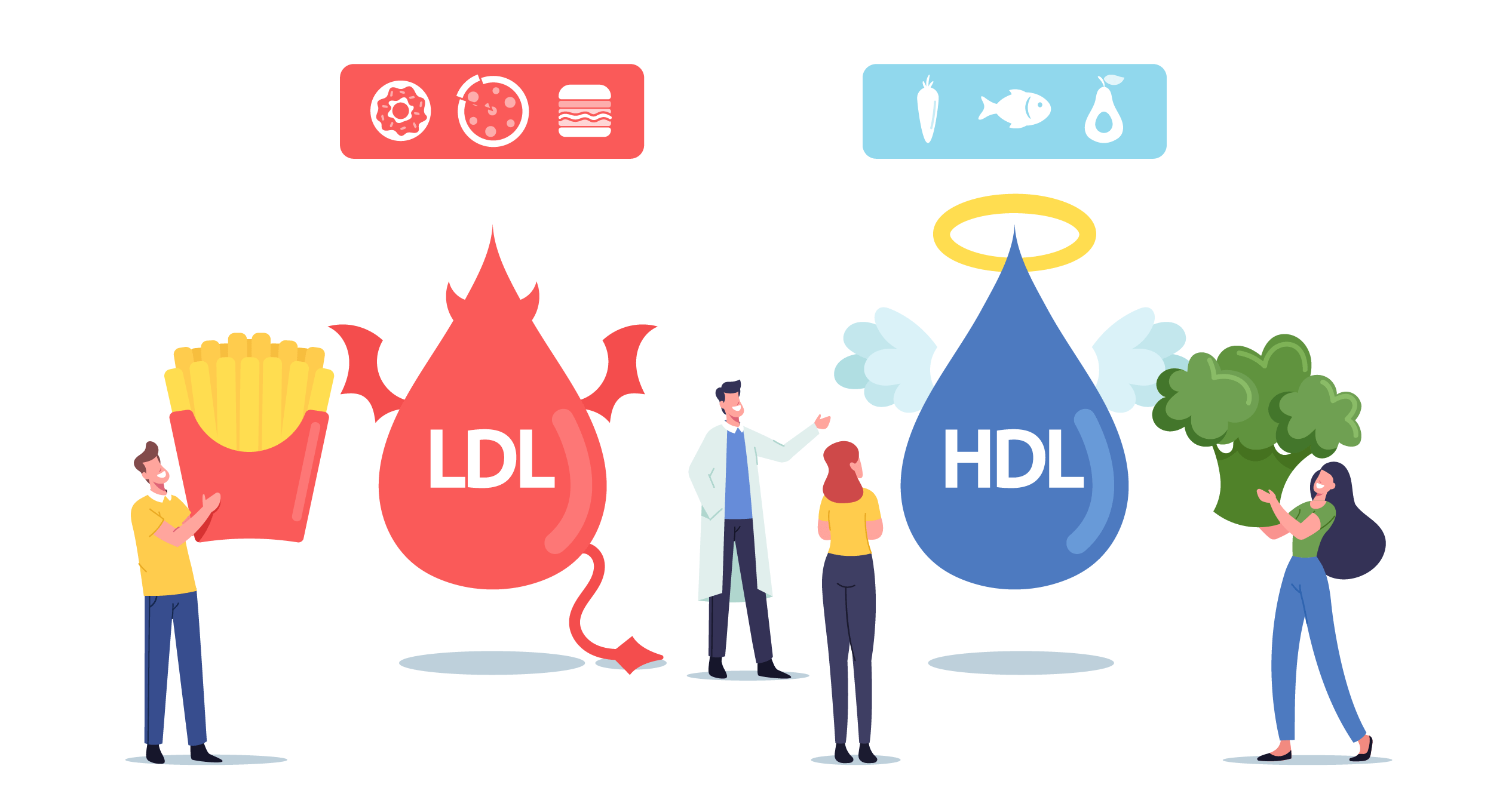 Colesterolo buono vs colesterolo cattivo